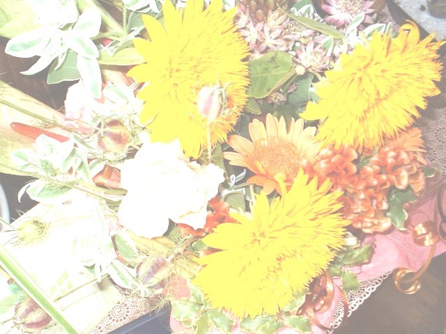 flower52